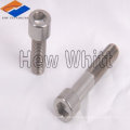 Titanium screws